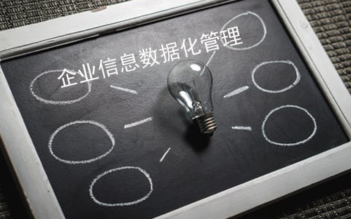 企業(yè)信息數(shù)據(jù)化管理