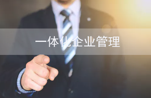 企業(yè)一體化管理