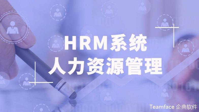 企業(yè)人力資源解決方案的特點